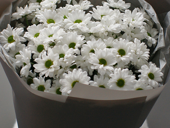 Bouquet of 9 white chrysanthemums photo